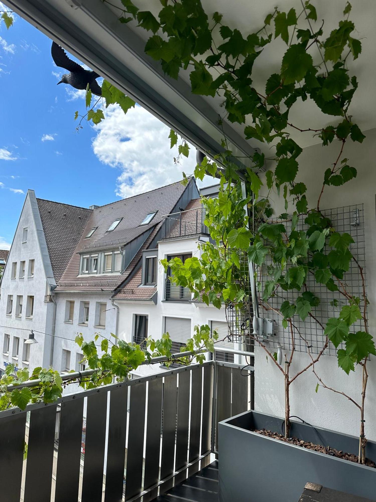 Apartment11 Ulm Exterior photo